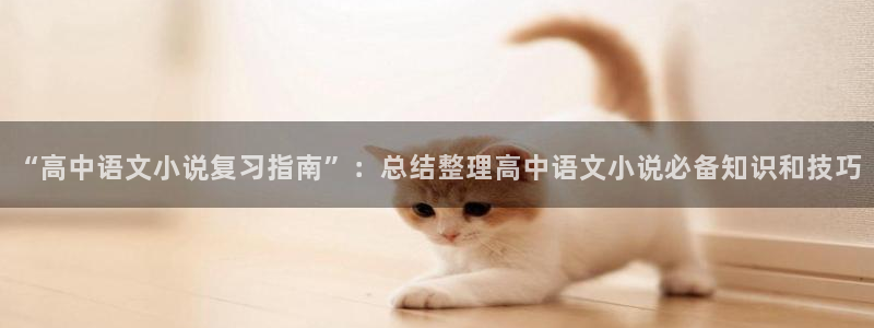 趣笔阁免费阅读：“高中语文小说复习指南”：总结整理高中语文小说必备知识和技巧