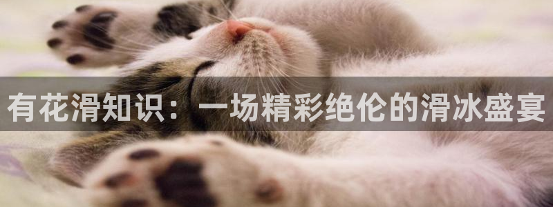 趣笔阁免费阅读：有花滑知识：一场精彩绝伦的滑冰盛宴